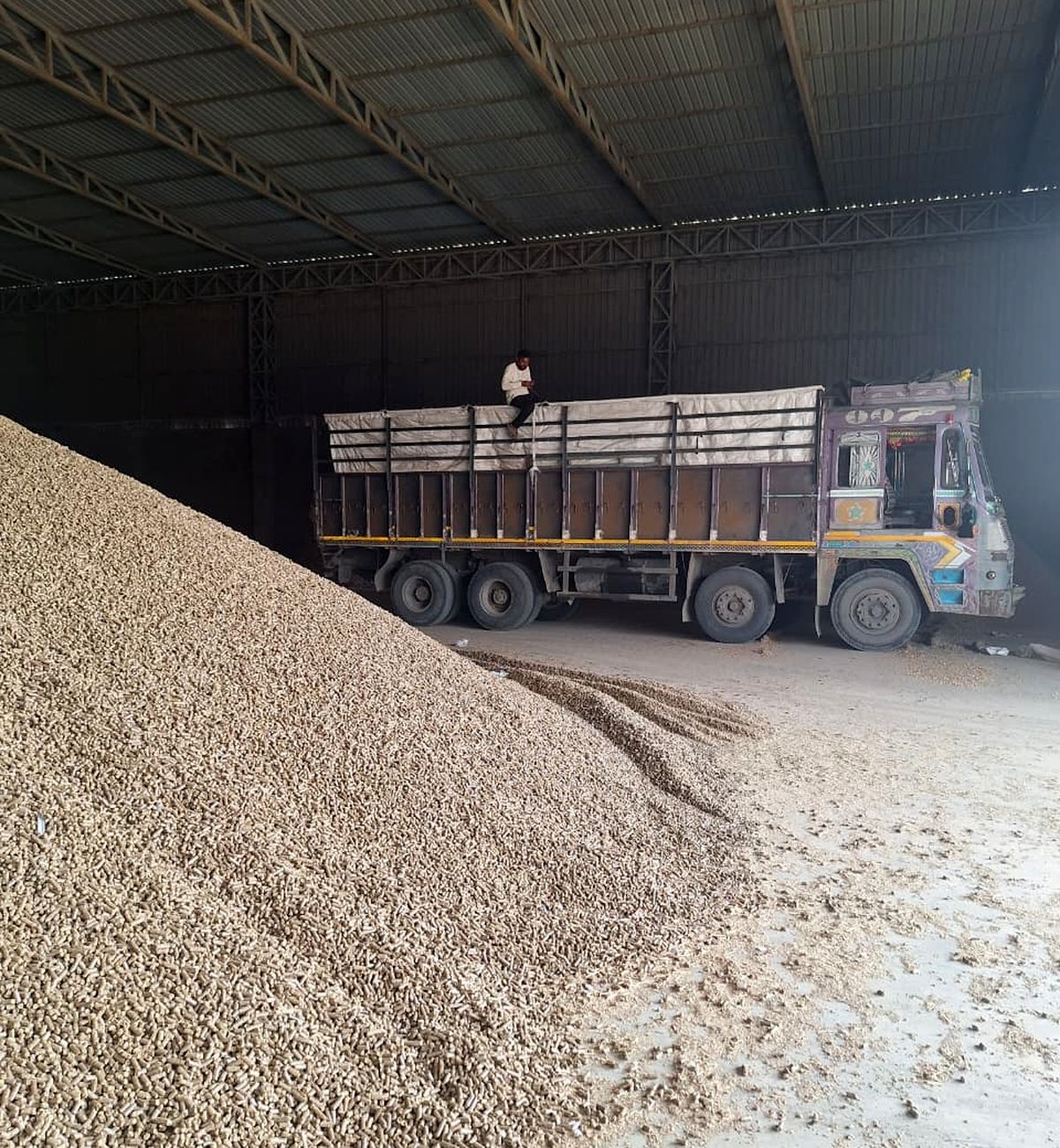 Bulk biomass pellets stockpiled inside the Biogreen Energy warehouse at Junagadh, with a truck loading alongside