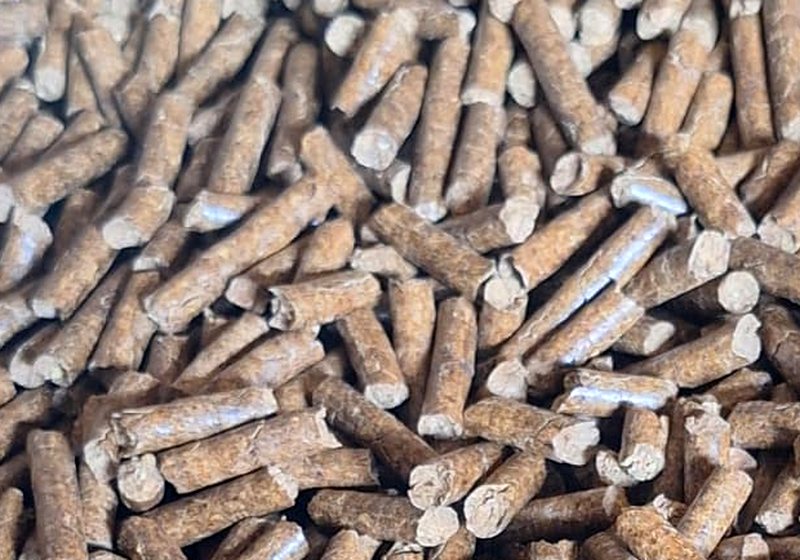Close-up of finished biomass pellets produced at the Junagadh plant