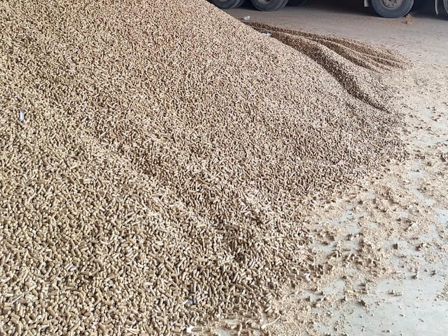 Bulk stockpile of 8 mm groundnut husk pellets at the Junagadh plant